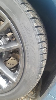 20181028_122858.jpg