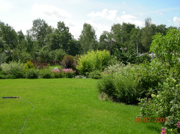 дом лужайка 2007.jpg