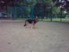 02092009138.jpg