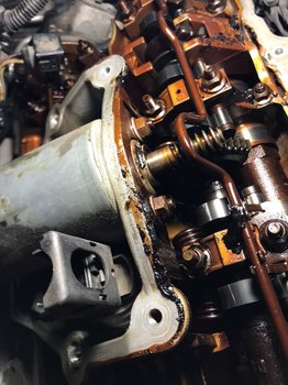D6B72CB2-3904-4E42-A11E-64F36F14086F.jpeg