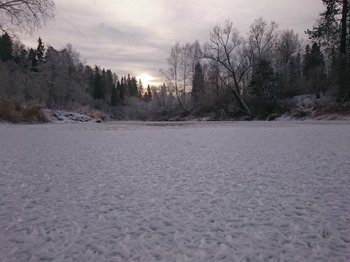DSC_4035.JPG