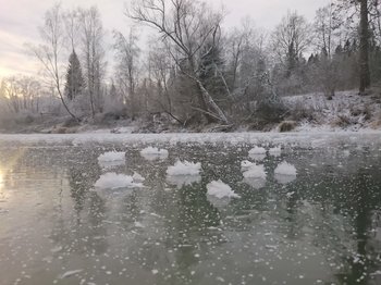 DSC_4038.JPG