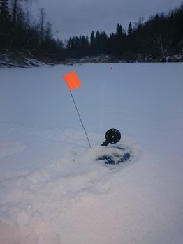 DSC_4042.JPG