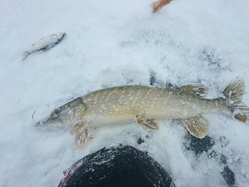 DSC_4046.JPG