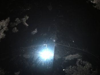 IMG_0811.jpeg