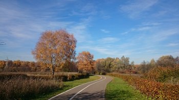 IMG-20181016-WA0001.jpg