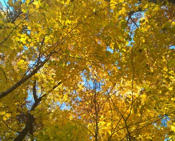 WP_20181015_13_35_02_Pro (2).jpg