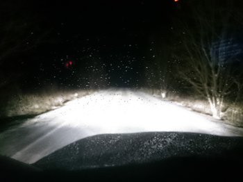 DSC_4071.JPG