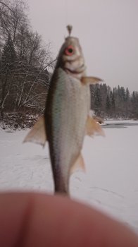 IMG-20181209-WA0006.jpeg
