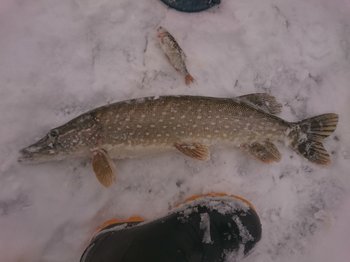 DSC_4059.JPG