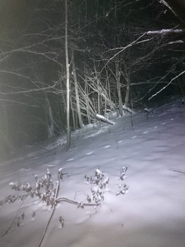 DSC_4068.JPG