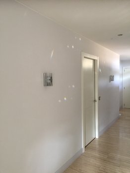 F125E745-75E5-4DE7-A7C1-9EF0B1F904F6.jpeg
