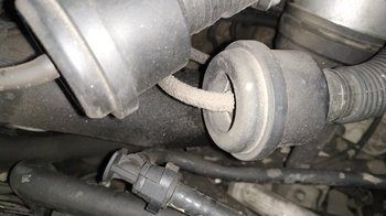 IMG_20181220_125654.jpg