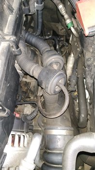 IMG_20181220_125647.jpg