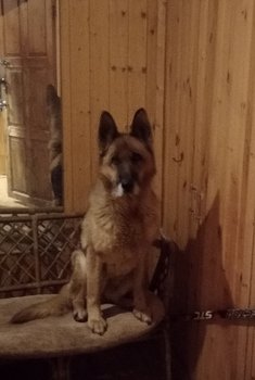 IMG_20181225_095949.jpg