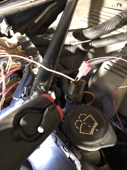 AC9B1350-2FC7-4041-85AE-E499E751D994.jpeg