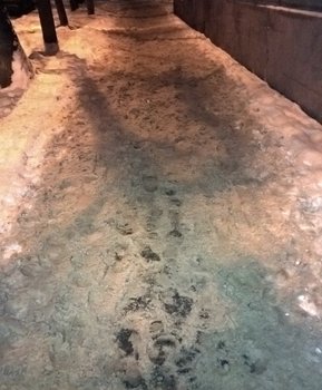WP_20181228_17_23_42_Pro (2).jpg