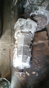 5bd646b7-8a22-40c0-a26e-f3716c5445f5.jpg