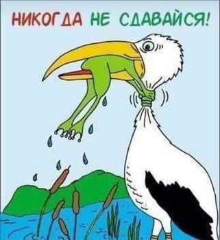 IMG-20181228-WA0008.jpg