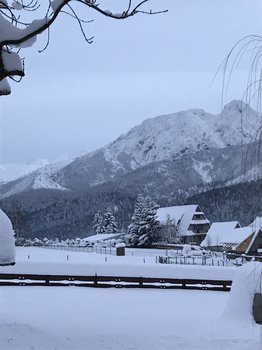 60264674-D970-46AF-A9BB-D7FF57550EC7.jpeg
