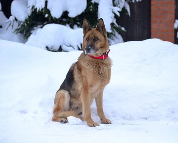 IMG-20190109-WA0023.jpg
