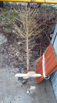 IMG-20190103-WA0015.jpeg