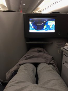 IMG_0113.jpeg