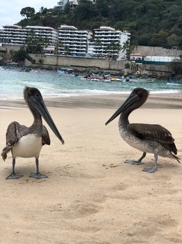 IMG_0125.jpeg