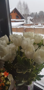 20190127_155925.jpg
