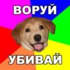 воруй убивай.jpg
