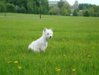 DSC02118.jpg