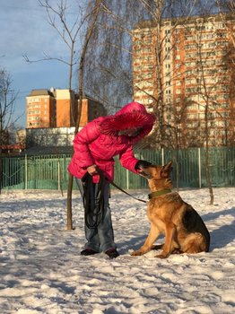 IMG-20190208-WA0134.jpg
