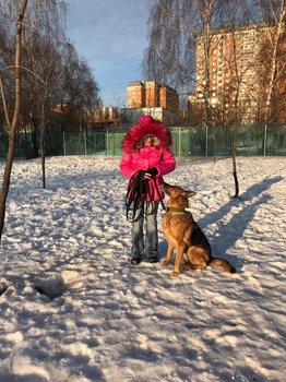 IMG-20190208-WA0148.jpg