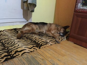 IMG-20190206-WA0108.jpg