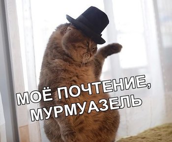 1F7486A4-6435-44C5-8C2F-B6D9ECEE8C73.jpeg