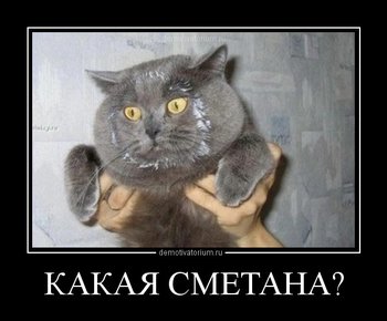 2905120007318254.jpg