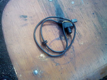 IMG00433.jpg