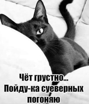 B04D2D89-B56B-484E-8EDF-AF4DEB568D4F.jpeg