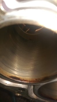 IMAG4163.jpg