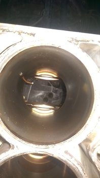 IMAG4155.jpg