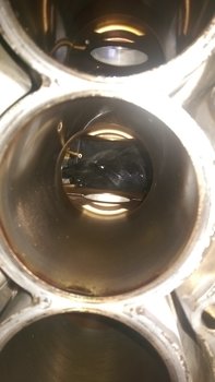 IMAG4156.jpg