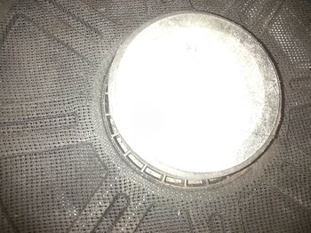 IMG_20180908_203633.jpg