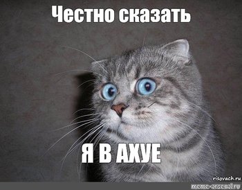af5ab7099a7b86c28b58fdeb4f44ca0d.jpg