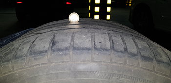 20180312_085312.jpg