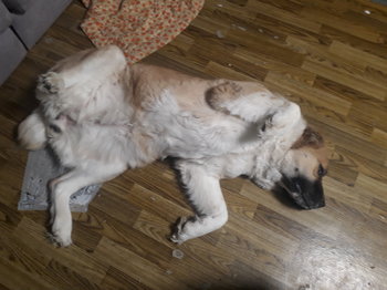 20190413_233127.jpg