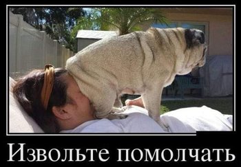 20190428_101957.jpg