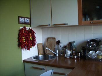 IMGP0924.JPG