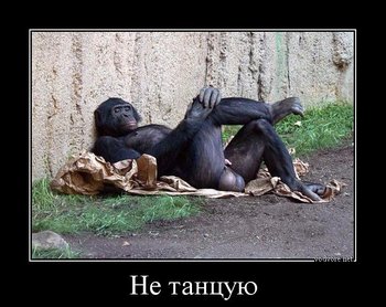C1C99FD5-5DD7-433B-B234-E27A6B3C93CA.jpeg