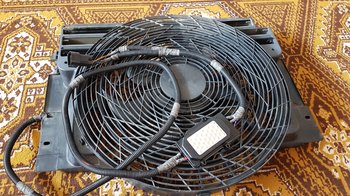 20190608_161938.jpg