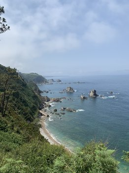 17B51327-C32D-45D0-9248-62D9BE97CF65.jpeg